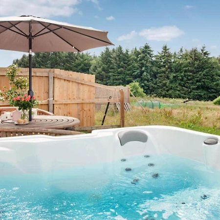 Cosy Cottage In The Blackdown Hills Devon هونيتون المظهر الخارجي الصورة