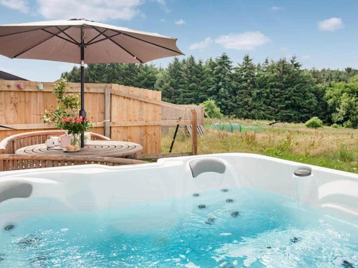 Cosy Cottage In The Blackdown Hills Devon هونيتون المظهر الخارجي الصورة