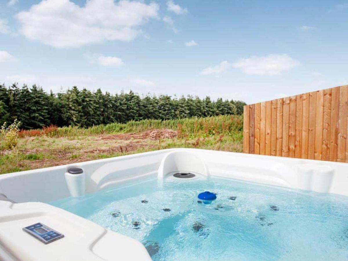 Cosy Cottage In The Blackdown Hills Devon هونيتون المظهر الخارجي الصورة