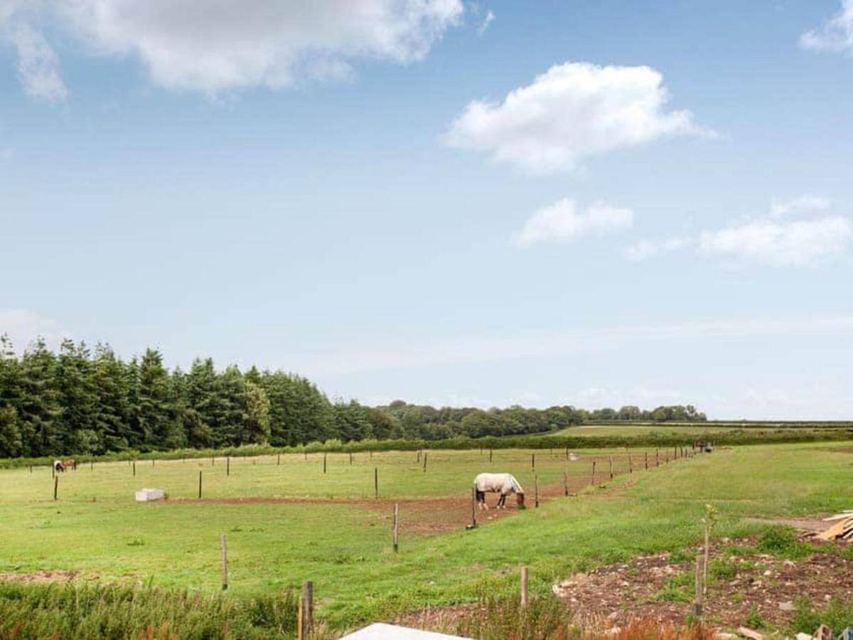 Cosy Cottage In The Blackdown Hills Devon هونيتون المظهر الخارجي الصورة